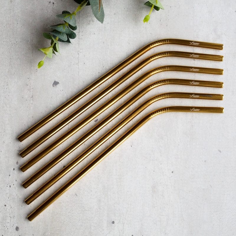 6 Pc Stainless Steel Straw